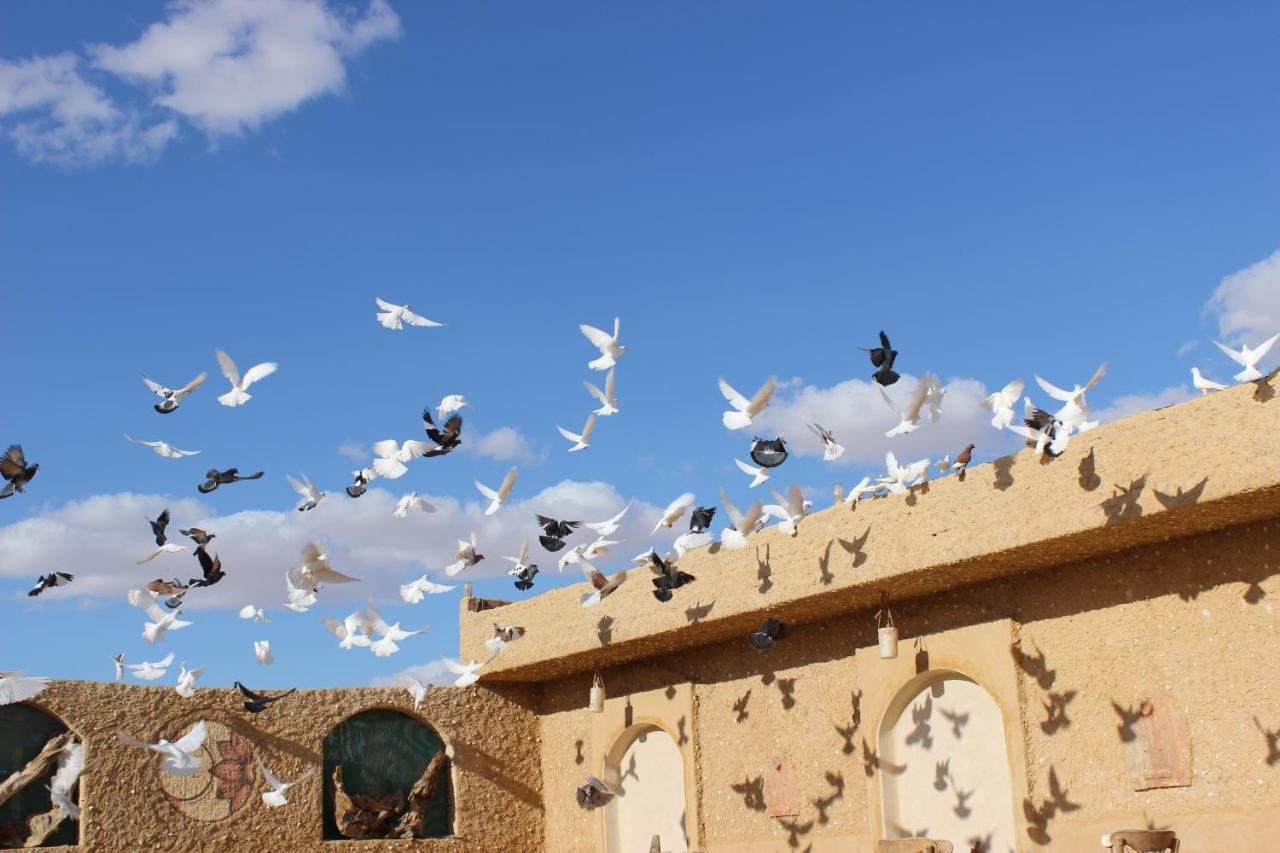 Taghaghien Island Resort Siwa Oasis ภายนอก รูปภาพ
